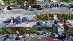 نشست مسئول حوزه نمایندگی سازمان جهاد کشاورذزی استان با مسئولین دفاتر مدیریت ها و ادارات کل تابعه و ...